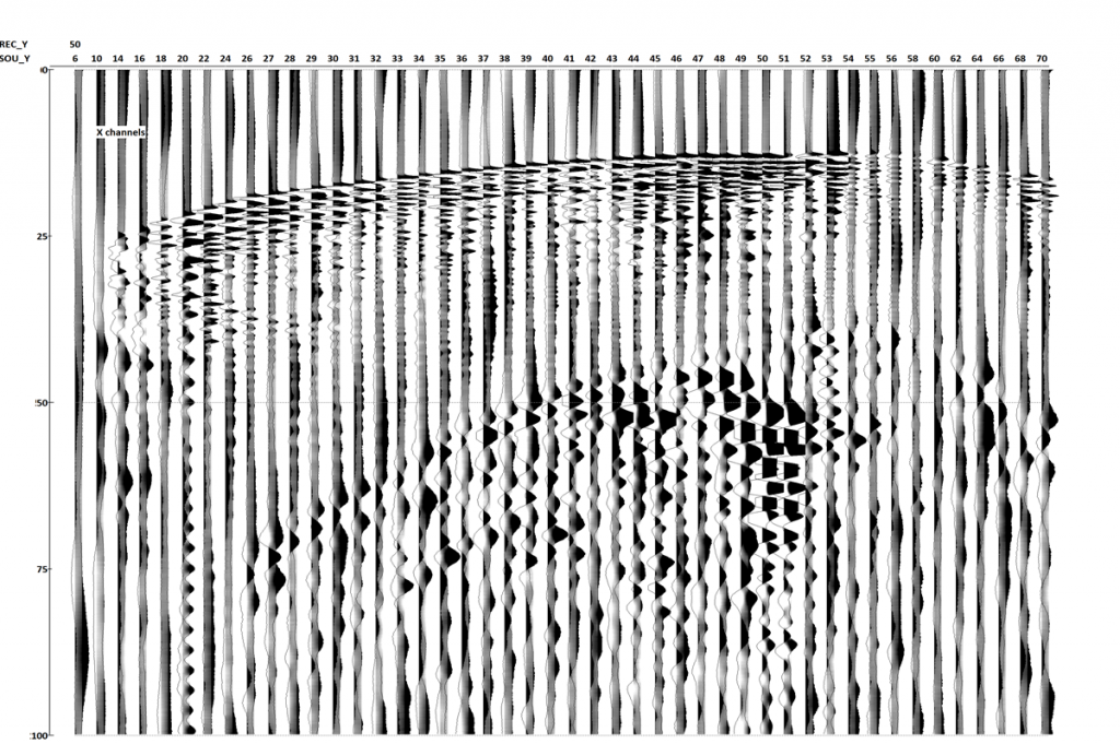 Common receiver gather with non-oriented X and Y components. Shots with opposite polarity are overlaid on each trace.